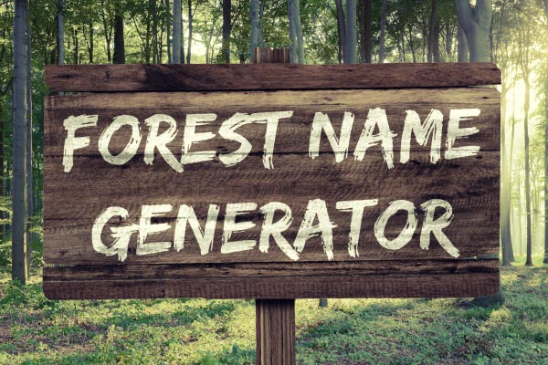 Name Generators cover art